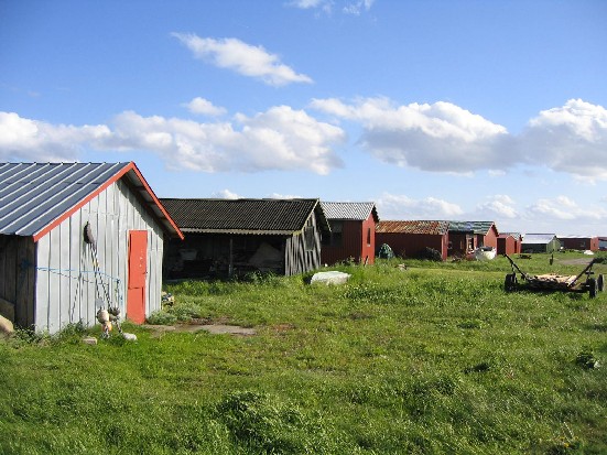 Strandrensning gennemføres ikke i år!
